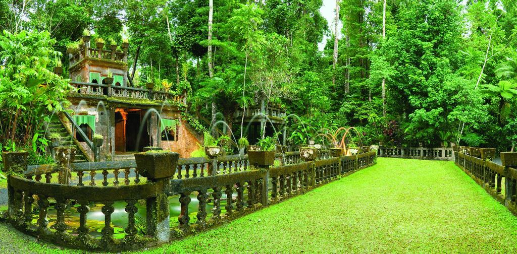 Mena Creek Flower House Екстер'єр фото
